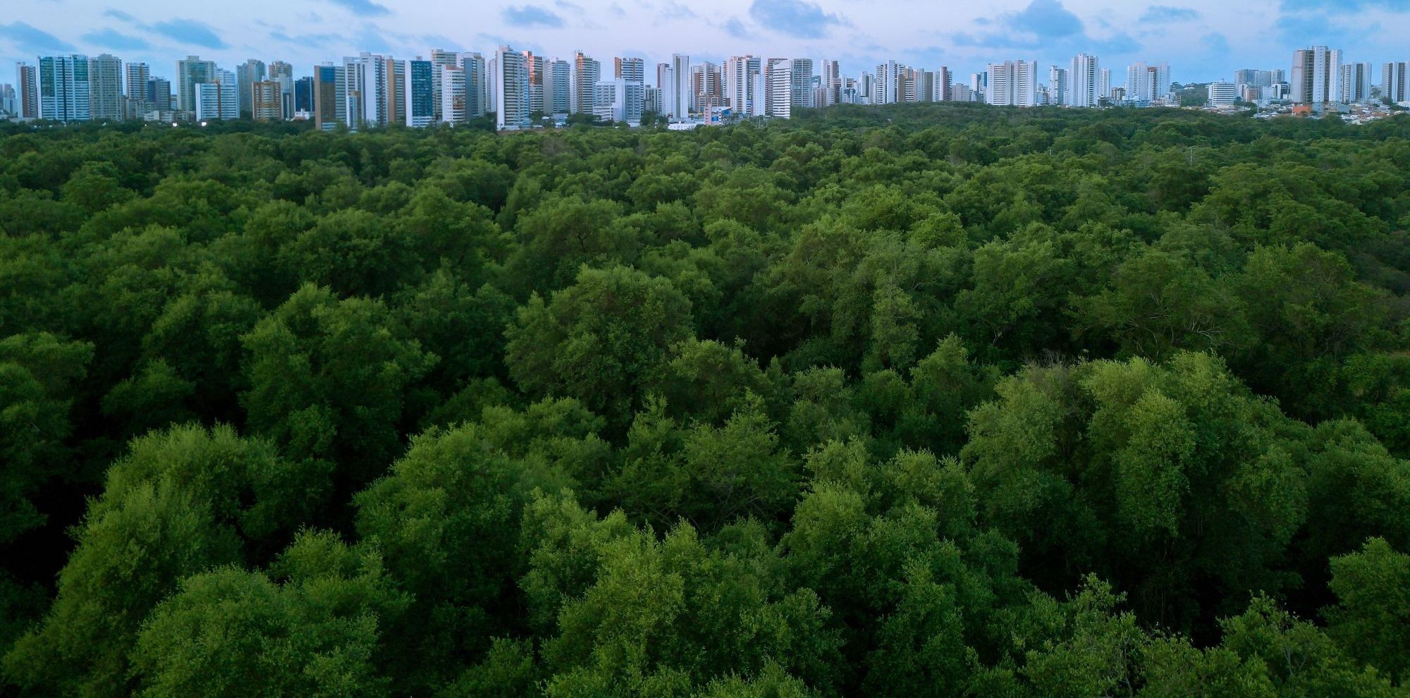 Compromiso ambiental y sostenibilidad de QUIBARCA C.A. para la industria química venezolana