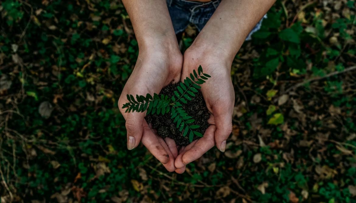 Compromiso de QUIBARCA C.A. con el cuidado del medio ambiente y la sostenibilidad